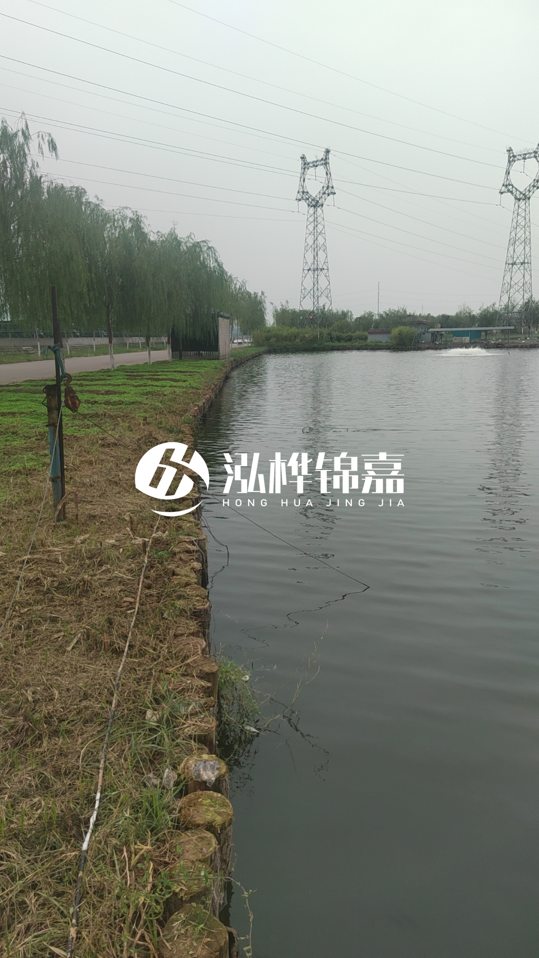 大同河道打松木樁施工-護坡木樁新的好還是舊的？