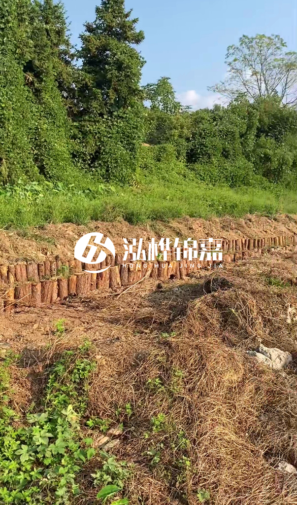 許昌河道清淤專業(yè)施工-河道污水治理要多長(zhǎng)時(shí)間？