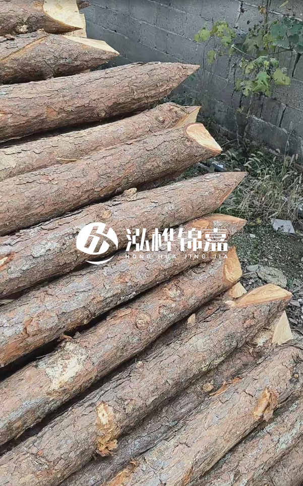 松木樁哪里能大量供應(yīng)？4米20公分松木樁價格是多少？