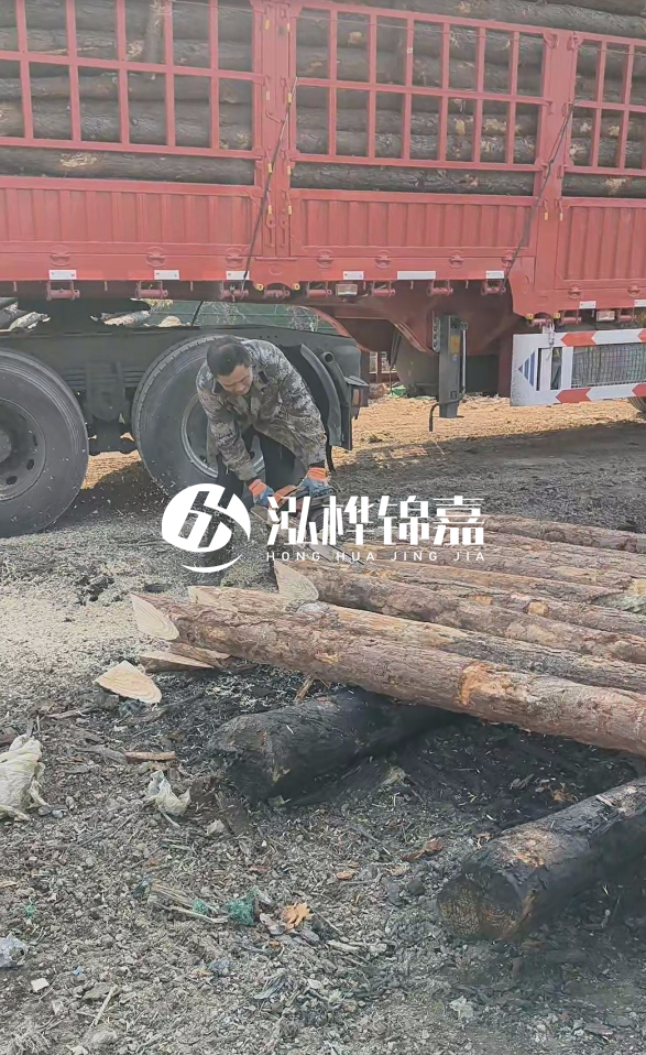 2米松木樁多少錢一根？15-20CM直徑價格是多少？