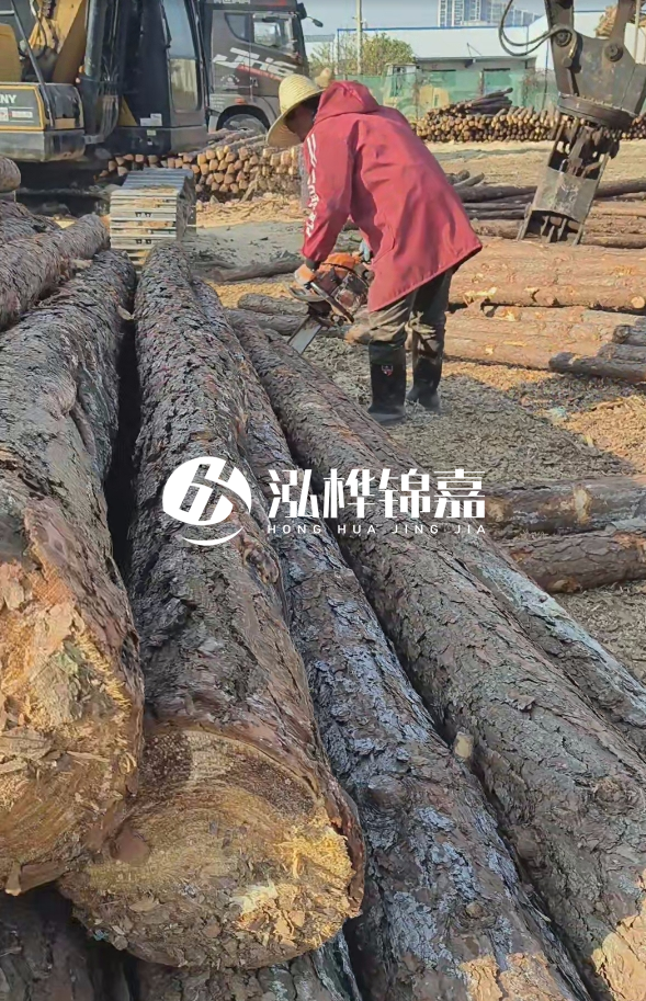 長(zhǎng)沙打樁木批發(fā)廠家在哪里？聯(lián)系方式是什么？