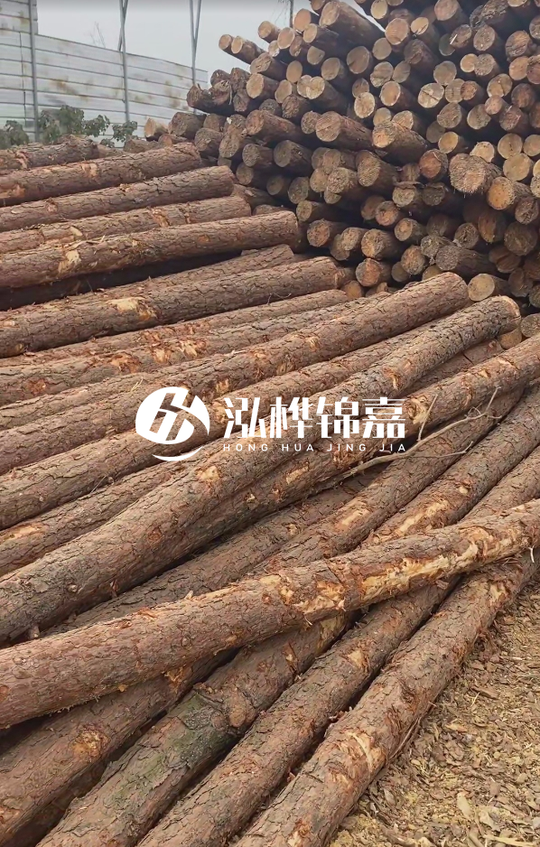山西河道木樁護(hù)岸價(jià)格多少錢一米-每米河道打樁要花多少錢？