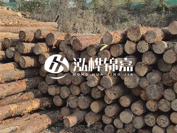 落葉松木材的主要產地在哪里？為什么比其他松木更耐腐蝕？