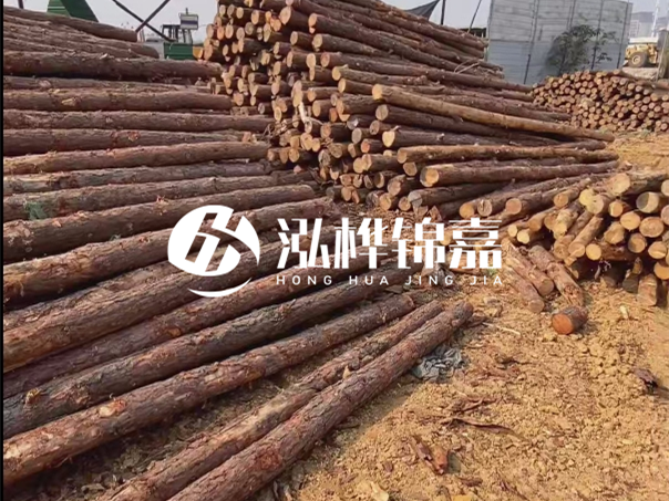 河道木樁施工遇到淤泥怎么辦？打多深才能防沖刷？