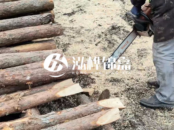 杉木樁批發(fā)廠家哪家好？產地直供渠道推薦！