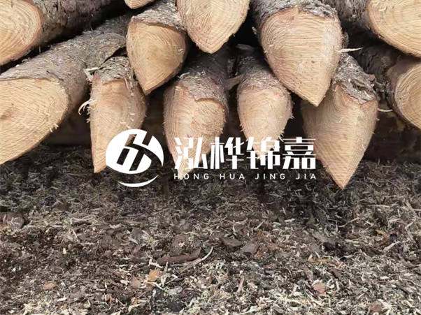 打樁木樁與鋼樁相比有哪些優(yōu)缺點？如何進行后期維護？