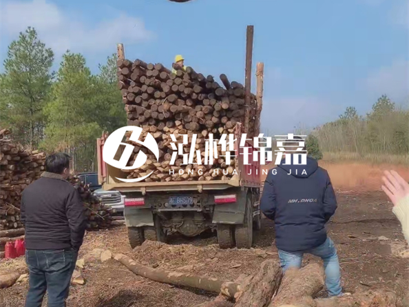 松木樁價(jià)格是按米算還是按根算？6米松木樁批發(fā)價(jià)每根多少錢？