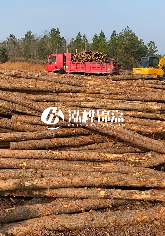 8米小頭11-13CM的松木樁價格是多少？打樁施工怎么算？