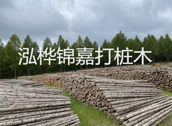 杉木板2cm多少錢一平方？