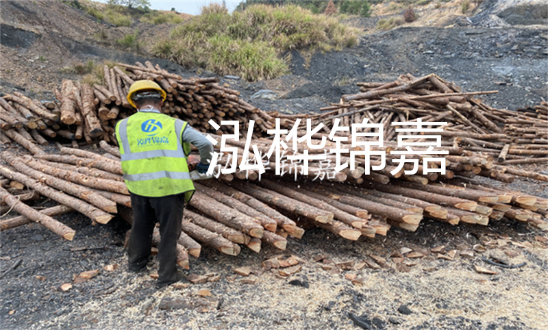 杉木樁多少錢(qián)一米？了解一下！