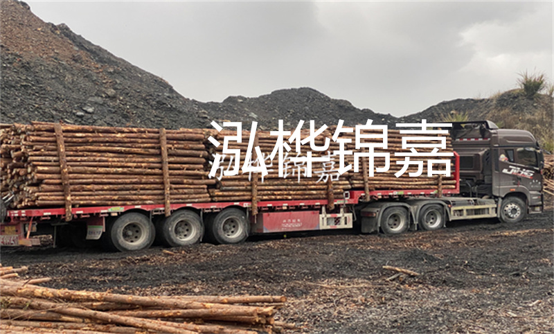 河道杉木樁保護(hù)生態(tài)環(huán)境，促進(jìn)河道治理