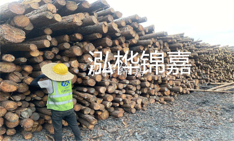 選擇松木樁15 20，打造穩(wěn)固的基礎！