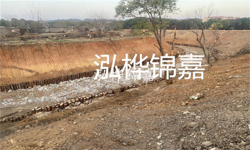 壽材木材批發(fā)，品質(zhì)與信賴的選擇