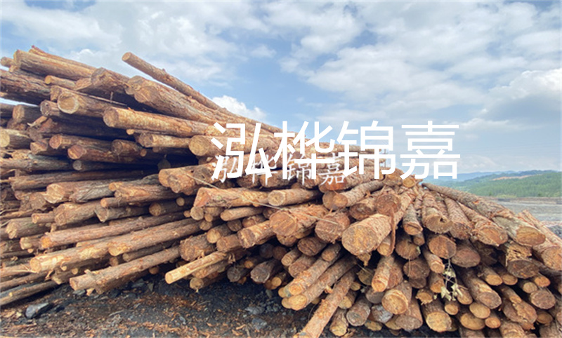 杉木樁廠(chǎng)家，為您打造高質(zhì)量的木質(zhì)建筑材料