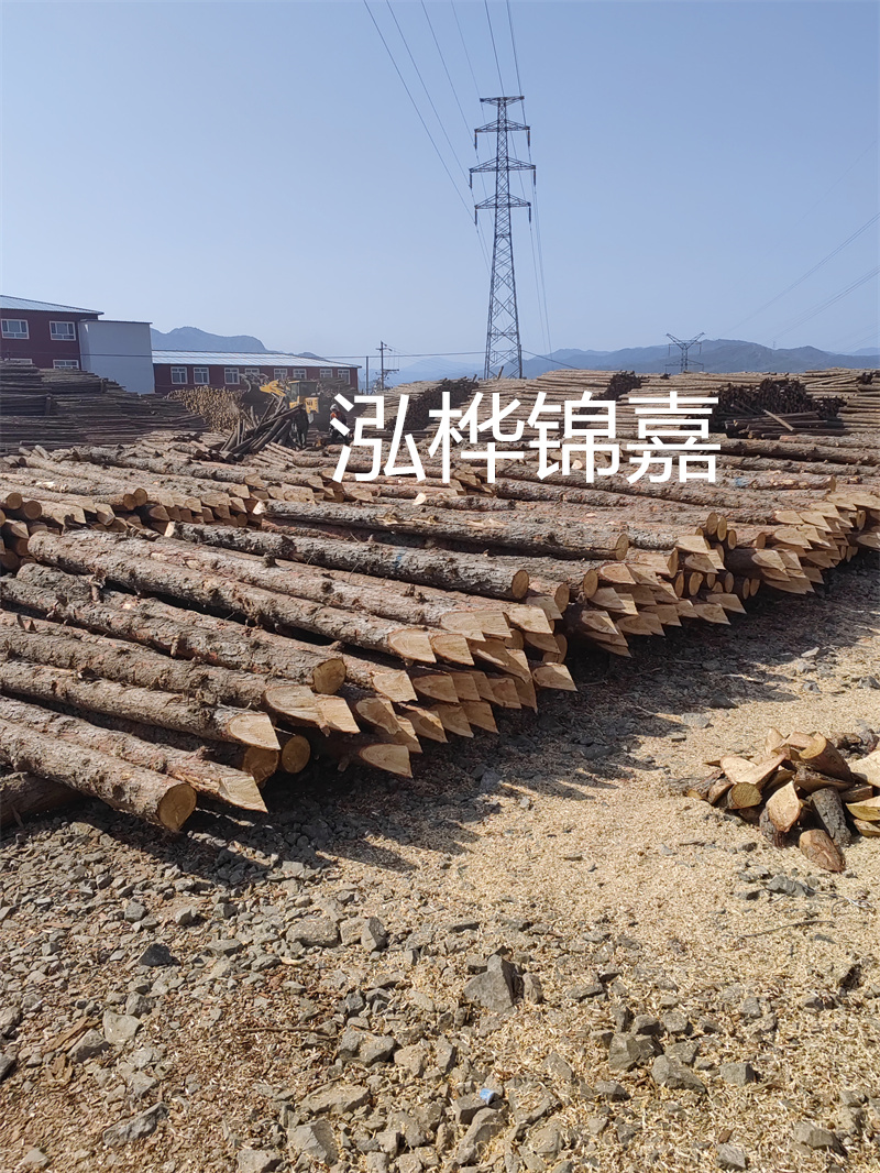 探索杉木樁施工技術(shù)，提升工程質(zhì)量