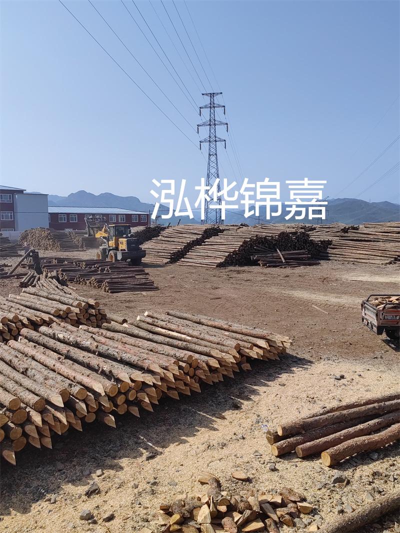 廣州杉木原木收購廠—專業(yè)、可靠的原木收購商