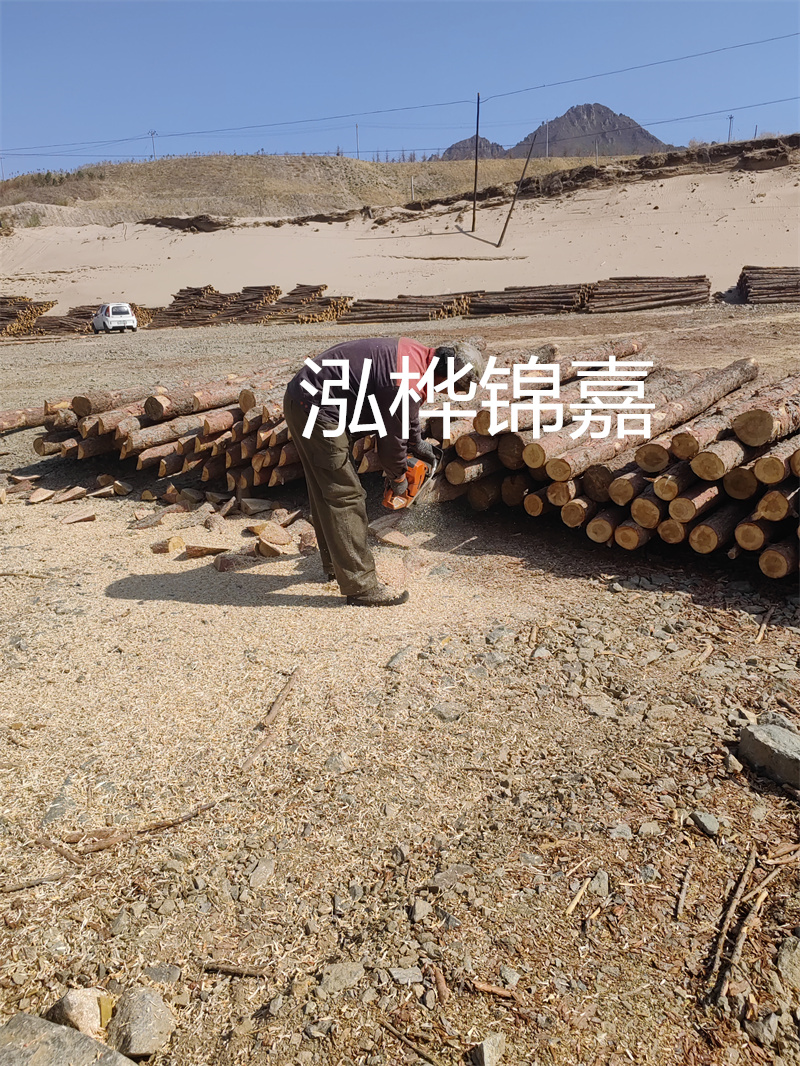 河道杉木樁施工工藝——保護(hù)生態(tài)，筑就長遠(yuǎn)發(fā)展之基