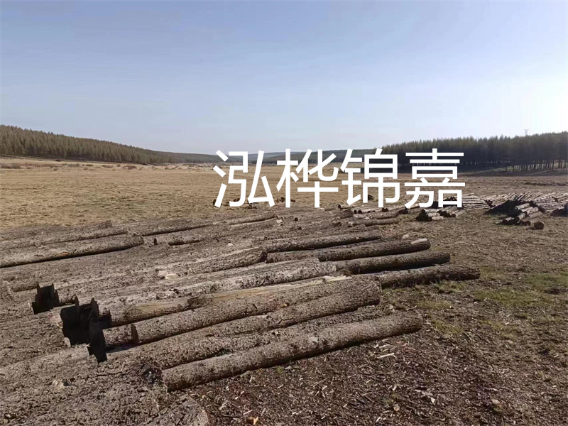 松木樁施工方案，為您提供高品質(zhì)的建筑基礎(chǔ)解決方案