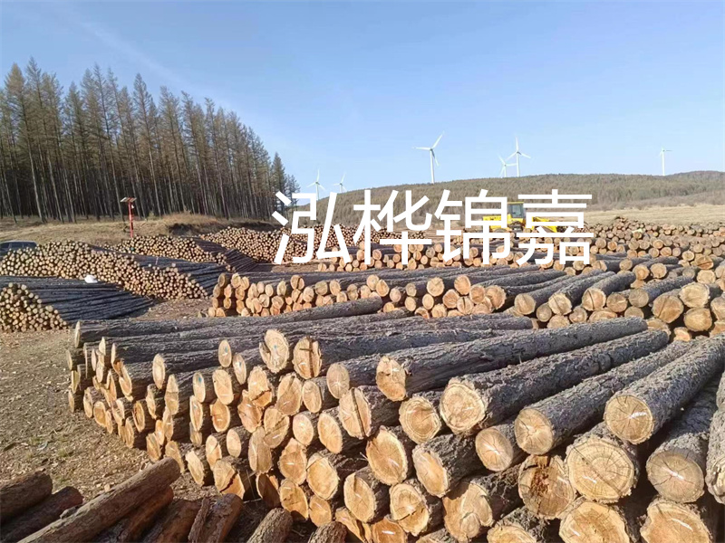 杉木樁護坡施工，為您打造安全的保護屏障