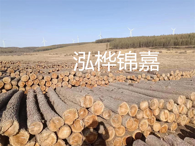 杉木樁一般使用多少年，了解杉木樁的壽命與保養(yǎng)方法